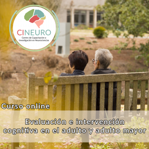 Curso Online: Evaluación e intervención cognitiva en el adulto y adulto mayor